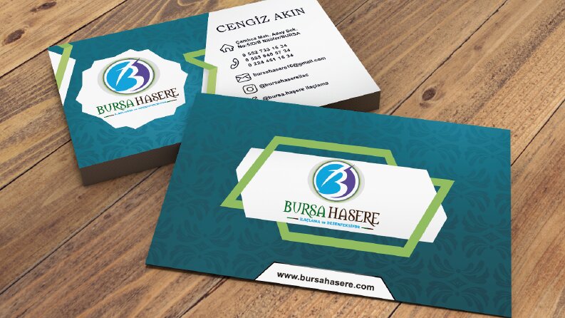 Bursa Haşere İlaçlama ve Dezenfeksiyon 
