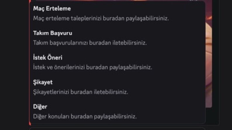 Ticket Bot