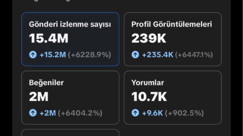 Geçmiş sosyal medya düzenlemem