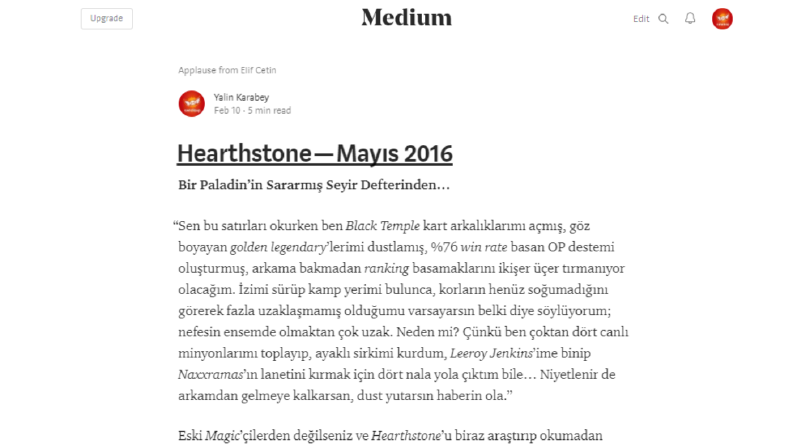 İnceleme yazısı