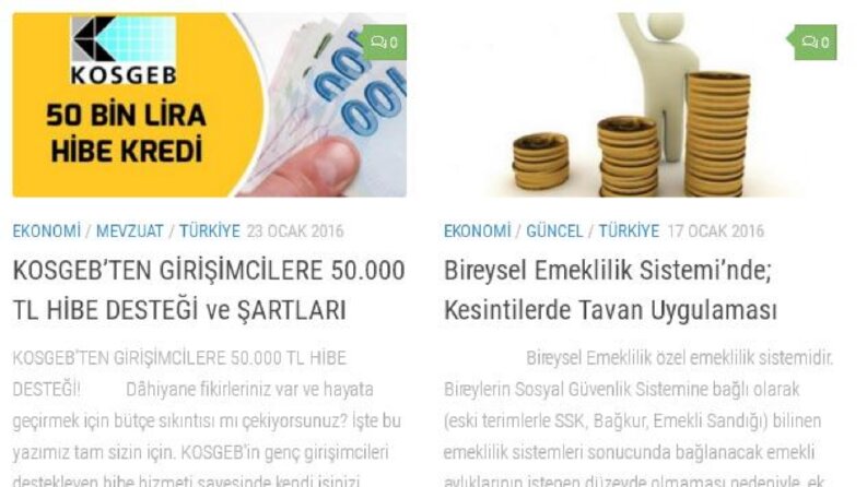 Makale Örneklerim