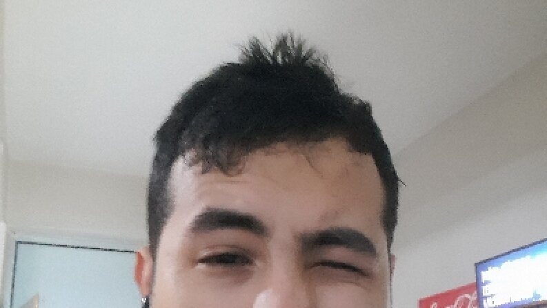 Çeviri