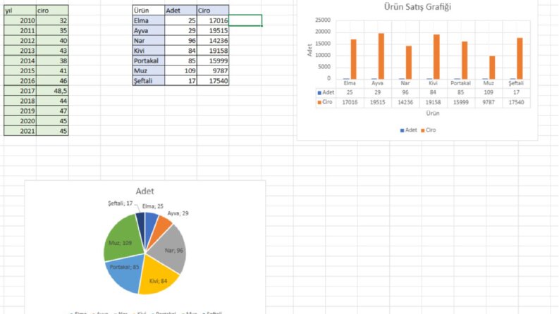 Excel , Otomasyonlu Tablo Tasarımı & Akıllı Formül Çözümleri