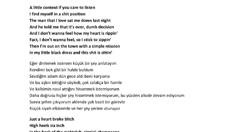 ÇEVİRMENİST