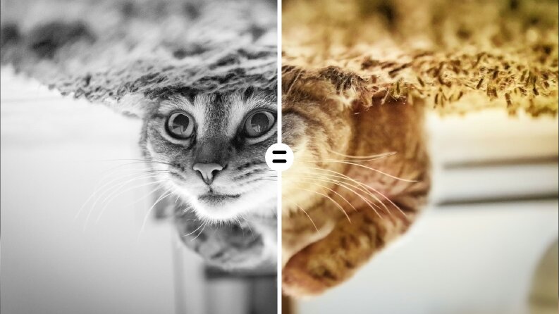 B&W Fotoğraf Renklendirme