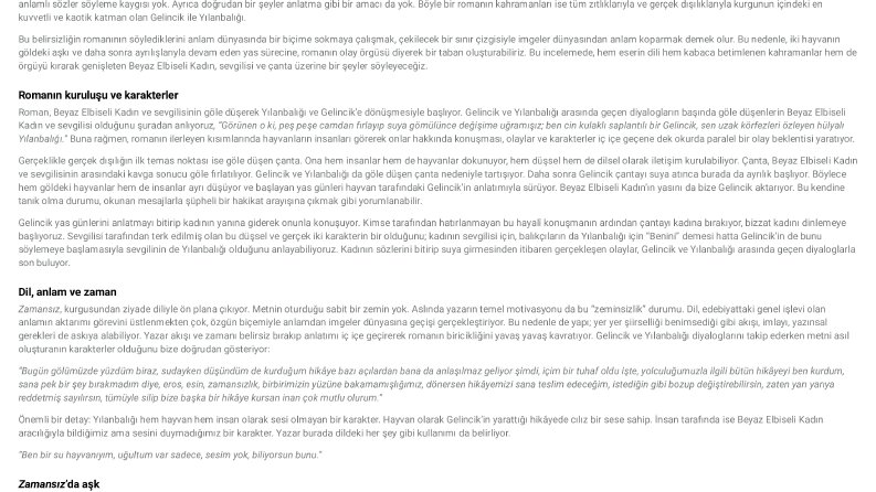 İnceleme yazısı