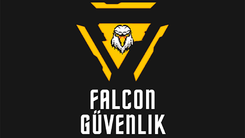 falcon güvenlik - konsept logo