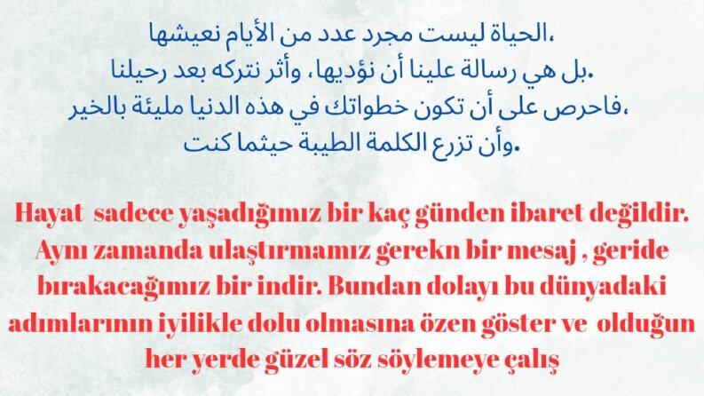 Arapça-Türkçe Profesyonel Belge ve Metin Çeviri Örnekleri