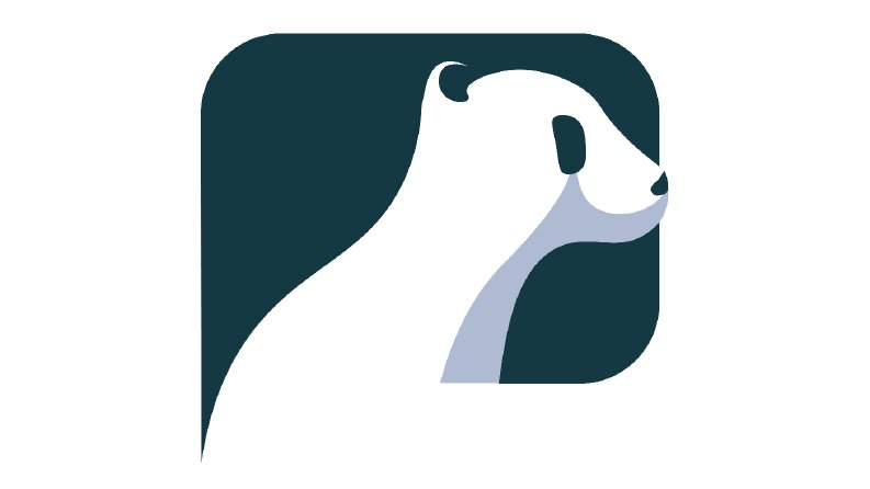 Panda+Chatting
