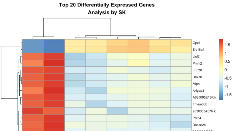 DEG (Differentially Expressed Genes) analizi