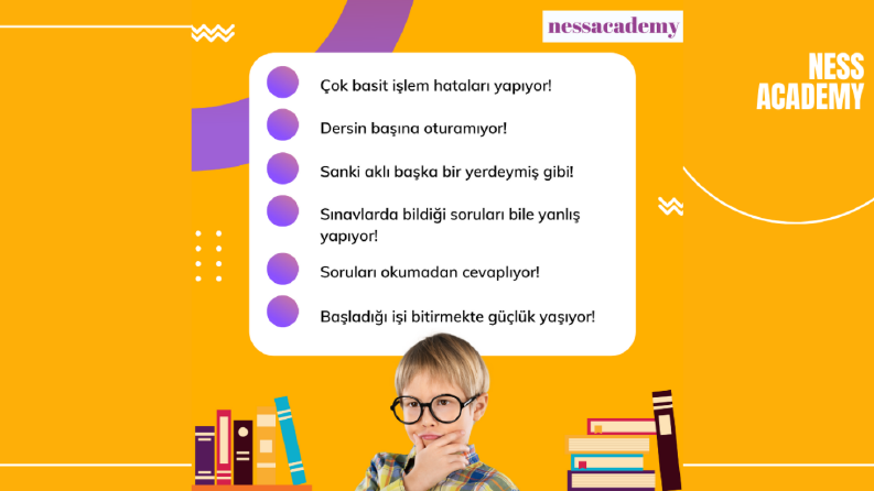Ness Akademi