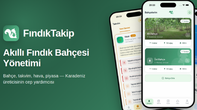 Fındık Fiyatları ve Fındık Tarım Uygulaması