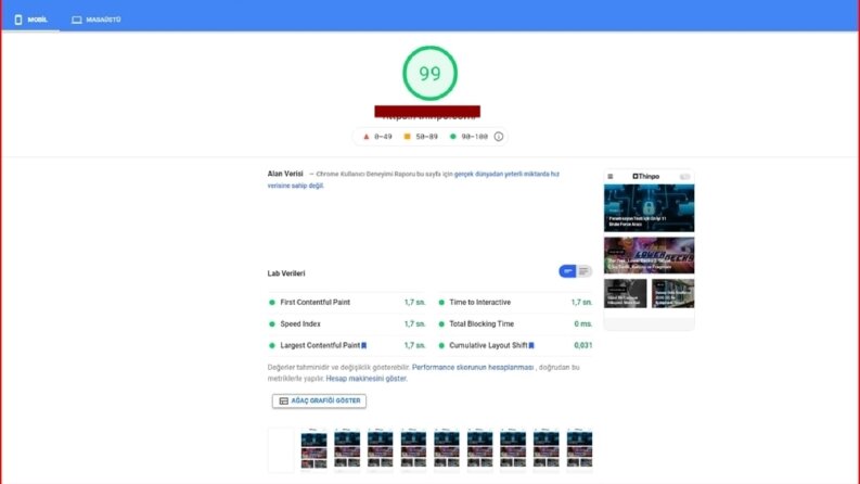 Wordpress Pagespeed Hız Optimizasyonu