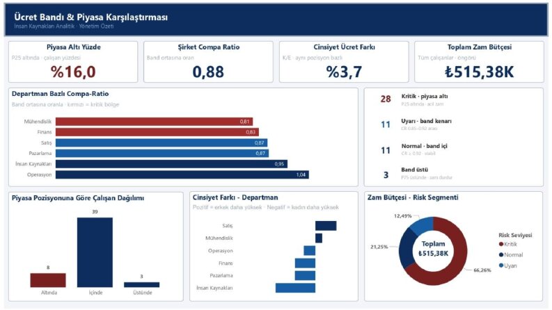 Excel ve Power BI ile Profesyonel Maaş Analizi Dashboardu Ha