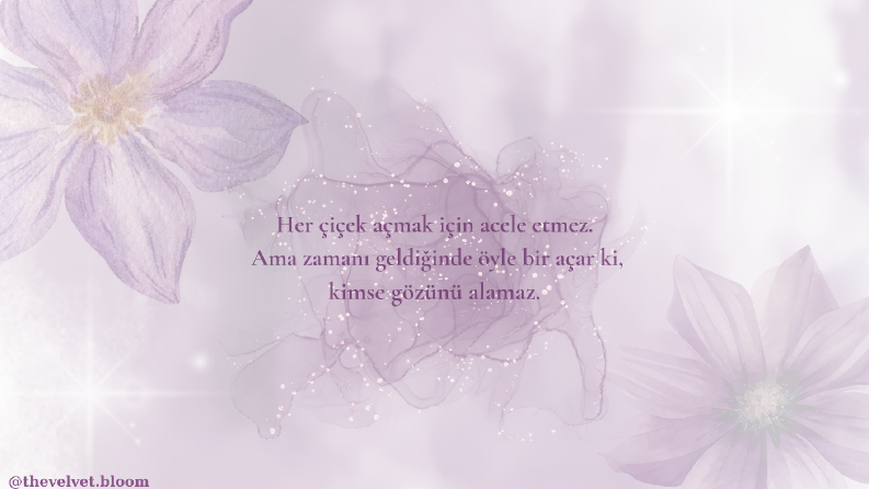 The Velvet Bloom sosyal medya tasarımı