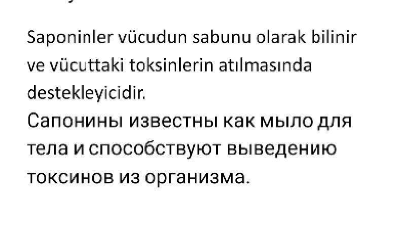 Ana Dil Seviyesinde Çeviri