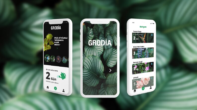 Mobil App 