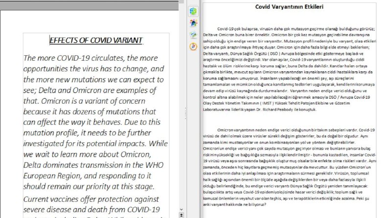 Etkileyici cümlelerle çevirilerinizi yaparım 