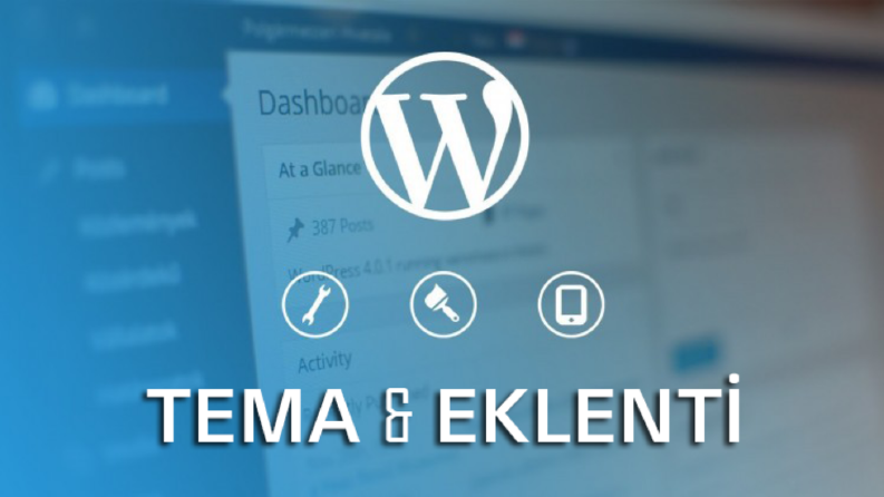 WP PLUGİN 1