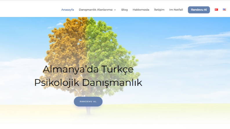 Danışmanlık- Websitesi