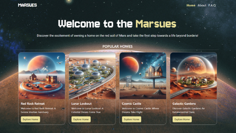 Web Yazılım / UI-UX Tasarım