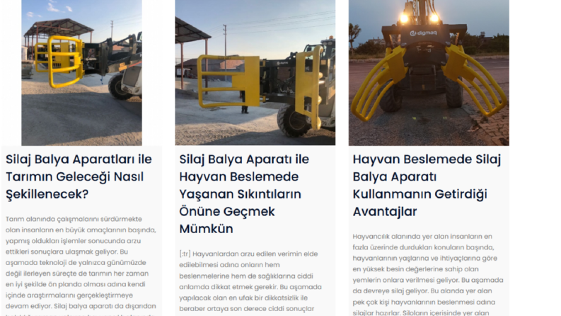 Digmaq - Google'u Domine Etme Gücü