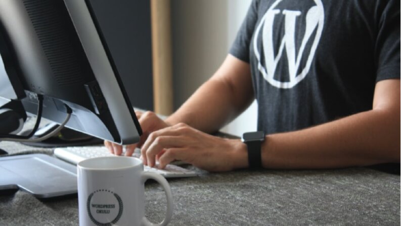 WordPress Web Siteleri