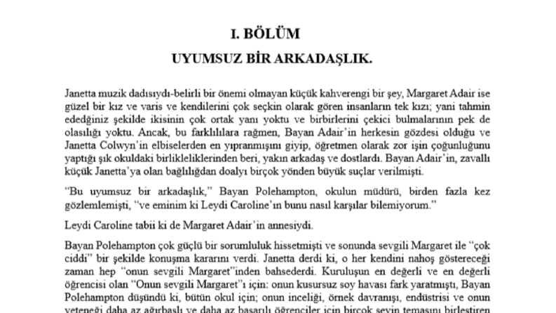 "A True Friend" Adlı Romanın Çevirisi