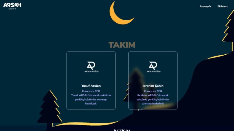 Profesyonel Web Sitesi Tasarımı 