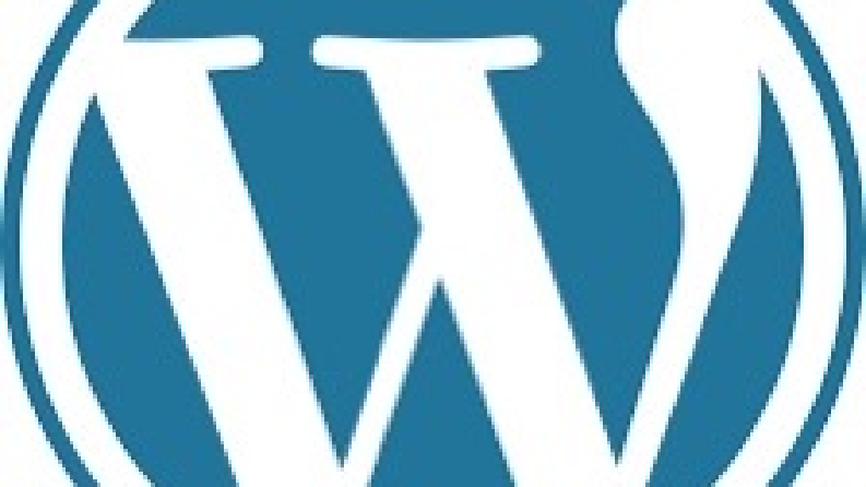 Wordpress Web Tasarimi