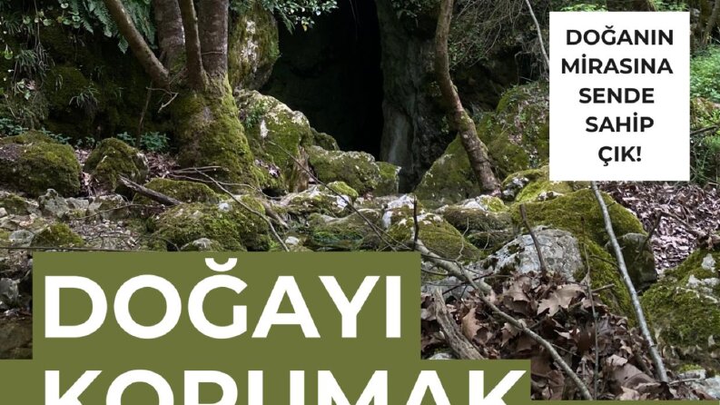 afiş tasarımı