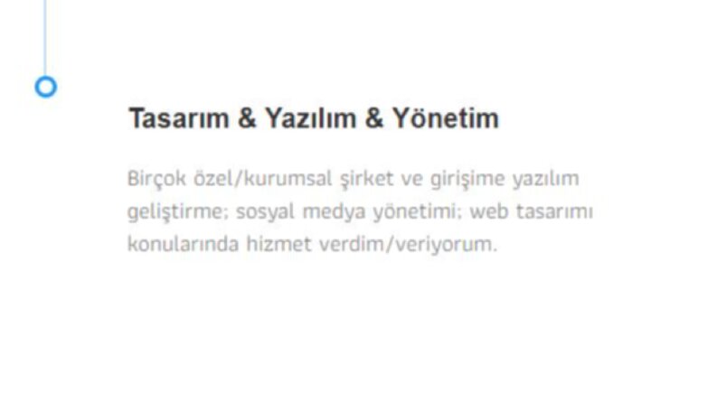 Profesyonel Web Sitesi Tasarımları Yapabilirim