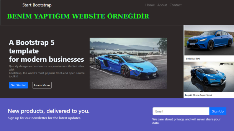 Websitelerimden örnek resimler 2