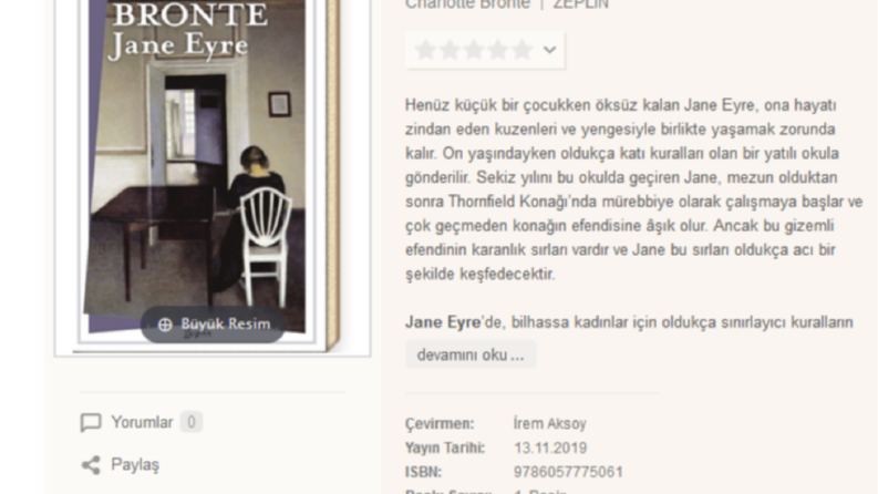 ZEPLİN Yayınevi Kitap Çevirisi