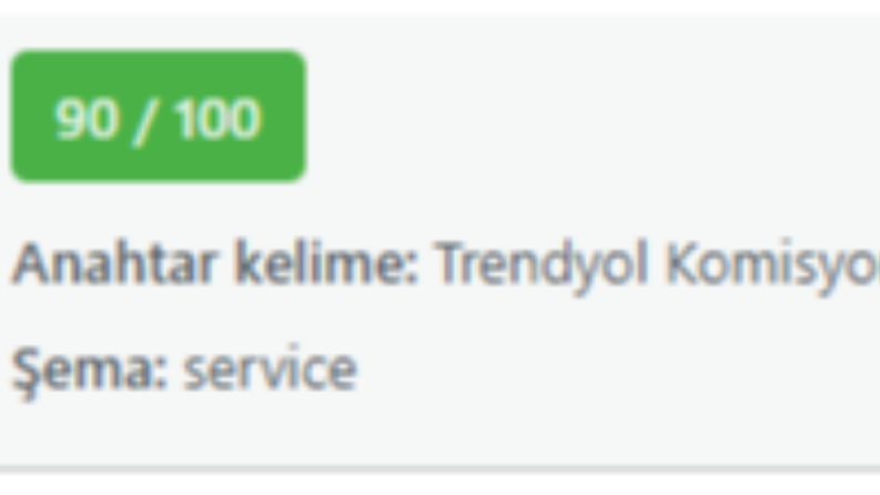 SEO Uyumlu Makale