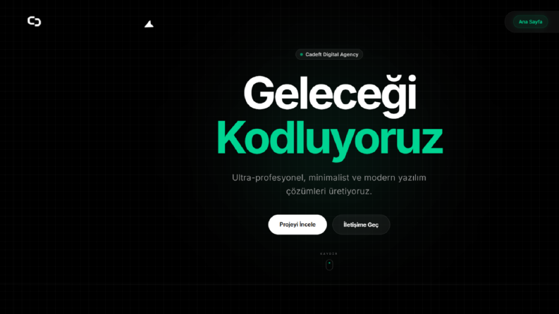 Web Sitesi
