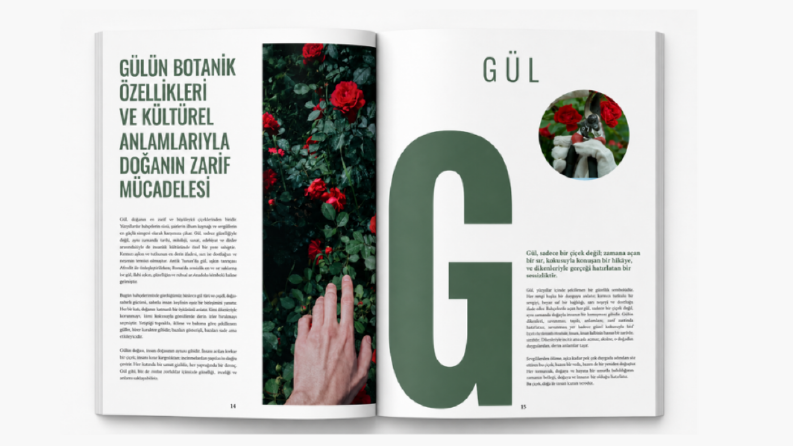 Dergi Tasarımı Çalışmalarım