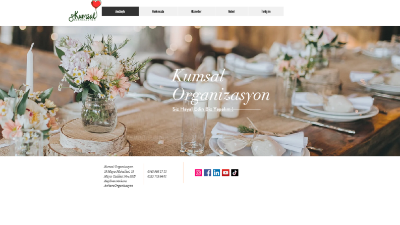 Web Sitesi tasarımı