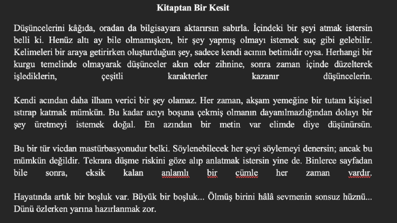 Blog, Sosyal Medya ve Çeviri Yazılarım