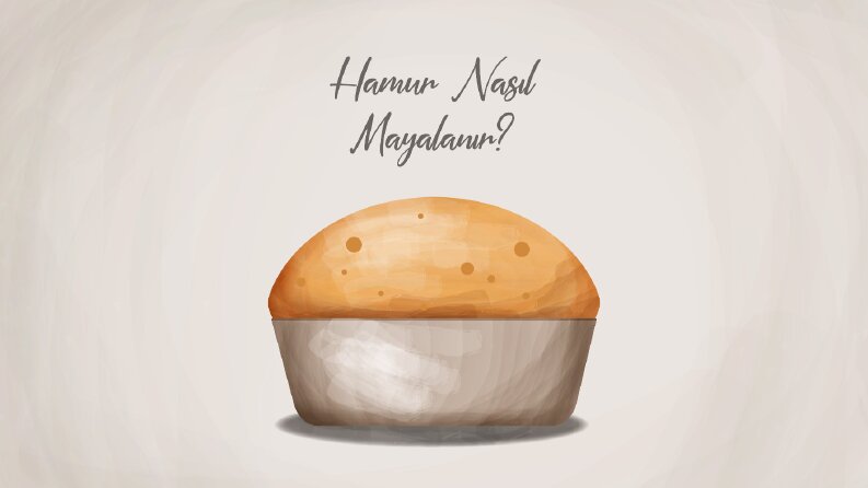 Hamur Nasıl Mayalanır? örnek vektörel çizimim