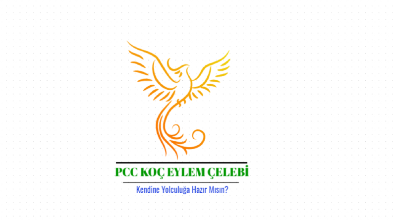 Eylem Çelebi için