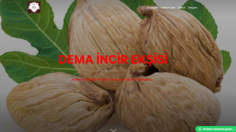 özel istek website