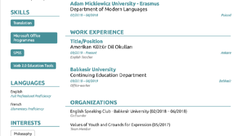 CV/Resume (Öz Geçmiş)
