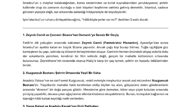 SEO Uyumlu Blog Yazısı - İstanbul Gezi Rehberi Örneği