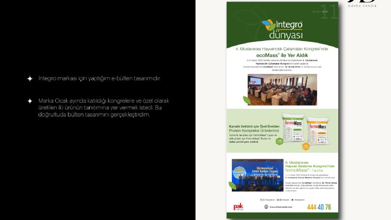 E-Bülten Tasarımları