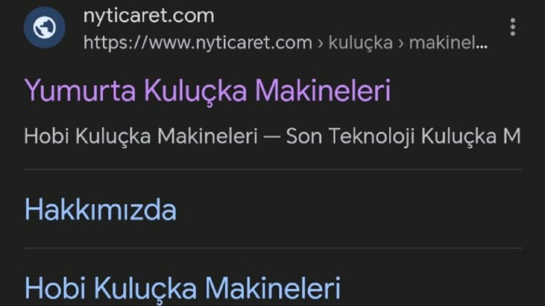 NY Ticaret Google Analytics ve Search Console Yönetimi