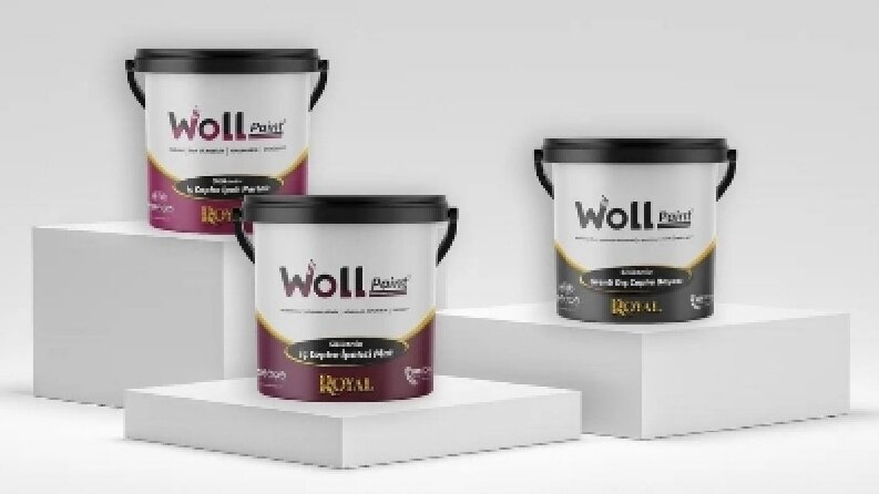 Woll Paint Boya Kovaları Ambalaj tasarımı 