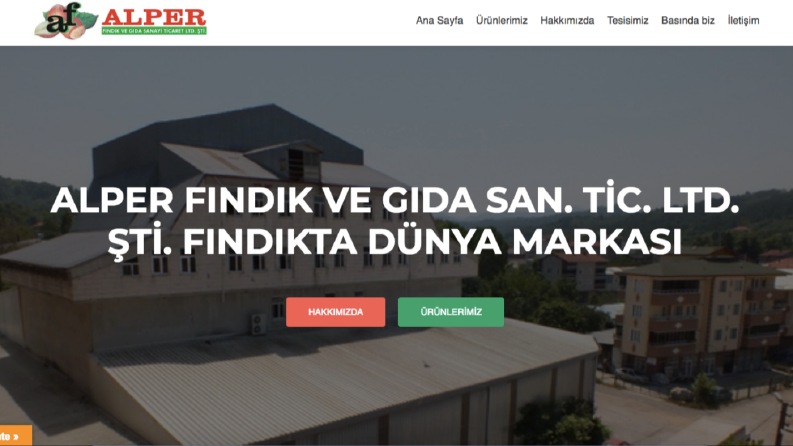 Web Tasarım Örneği