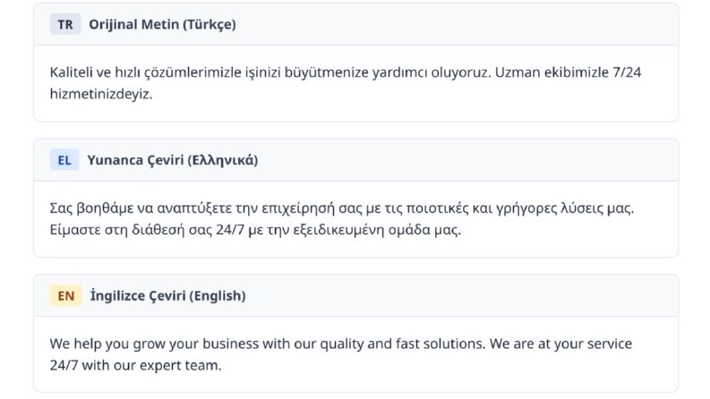 Web Sitesi ve Dijital İçerik Çevirisi