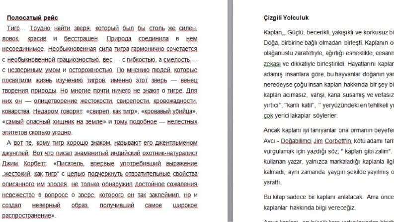 Kitap Çevirisi